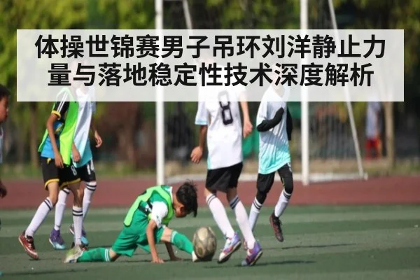 体操世锦赛男子吊环刘洋静止力量与落地稳定性技术深度解析
